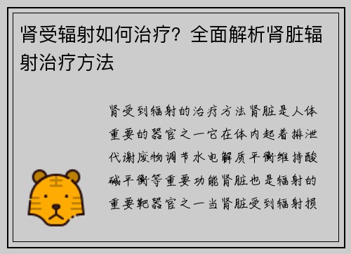 肾受辐射如何治疗？全面解析肾脏辐射治疗方法
